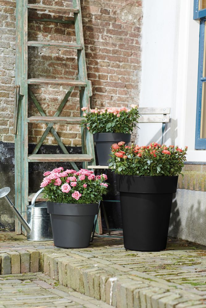 Green Basics Top Planter Hoch 35