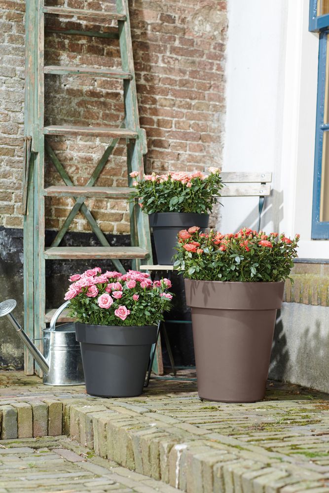 Green Basics Top Planter Hoch 35