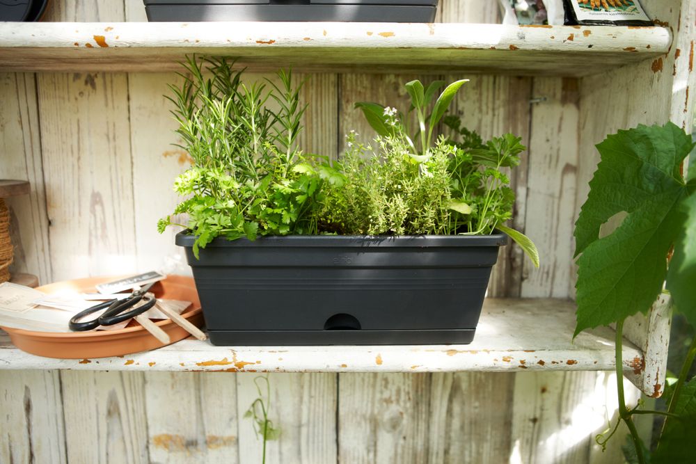 Green Basics Balkonkasten Mini 30