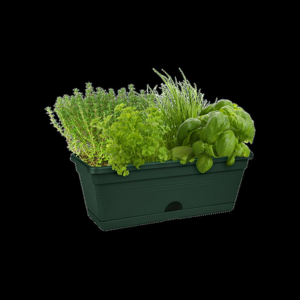 Green Basics Balkonkasten Mini 30