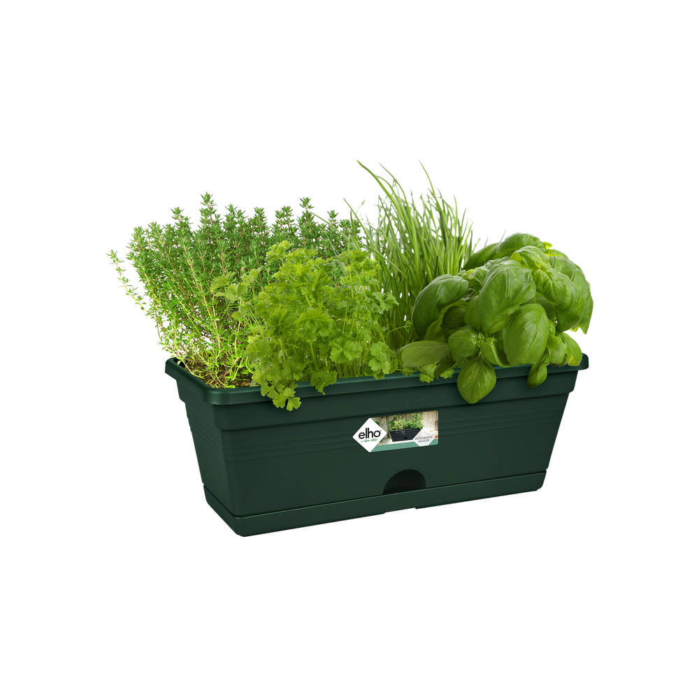 Green Basics Balkonkasten Mini 30