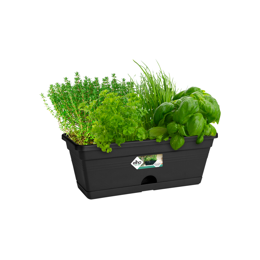 Green Basics Balkonkasten Mini 30