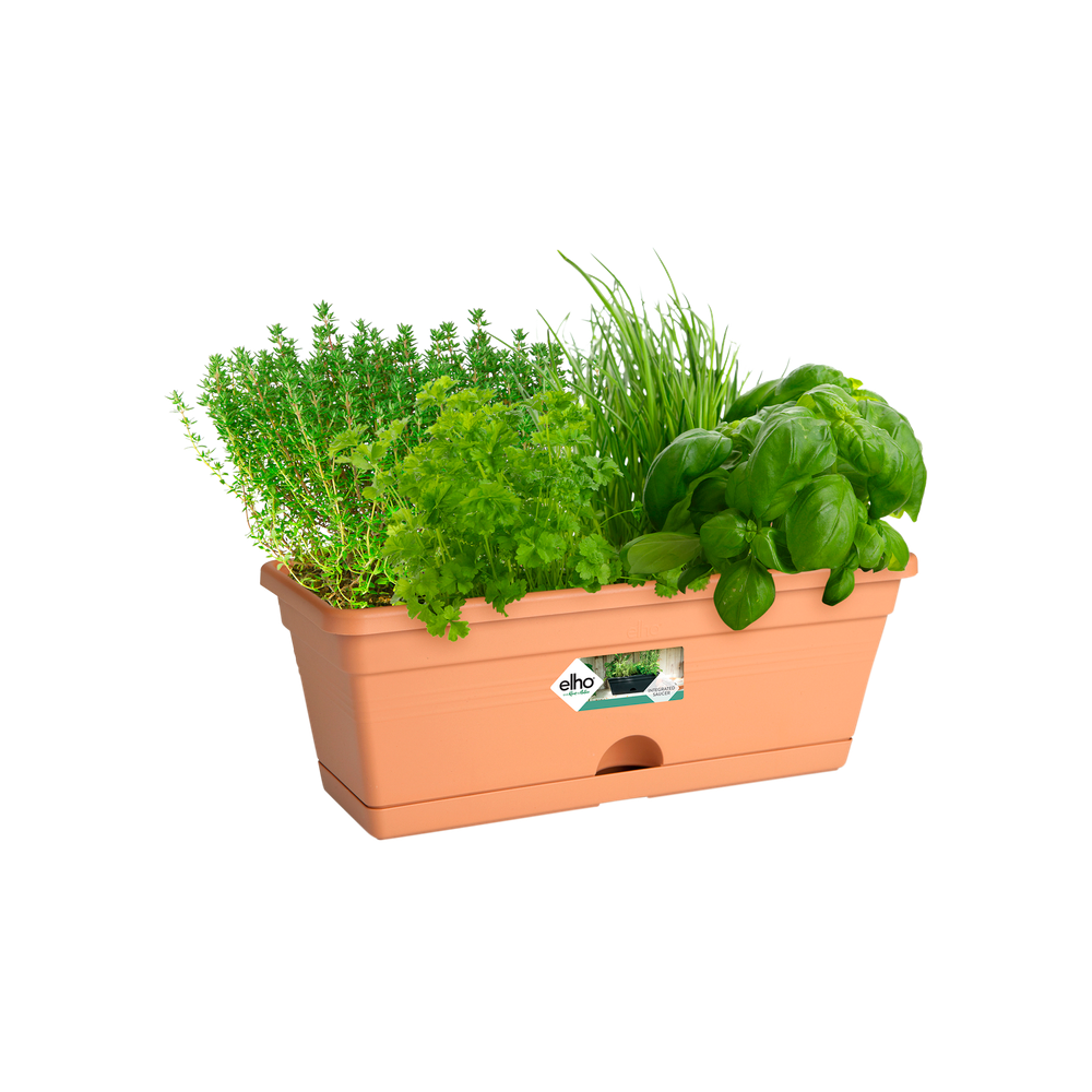 Green Basics Balkonkasten Mini 30