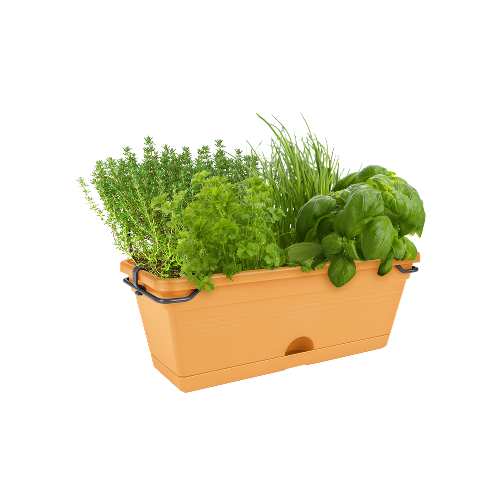 Green Basics Balkonkasten Mini 30
