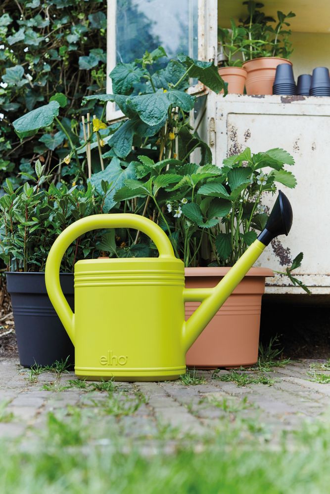 Green Basics Giesskanne 10ltr