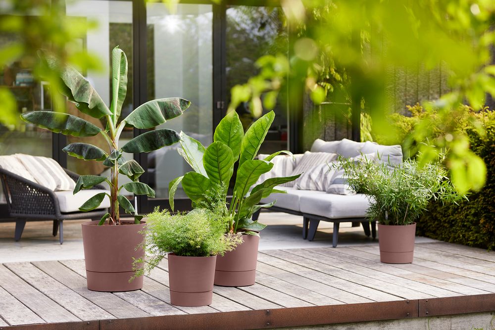 Greensense Aqua Care Rund 43