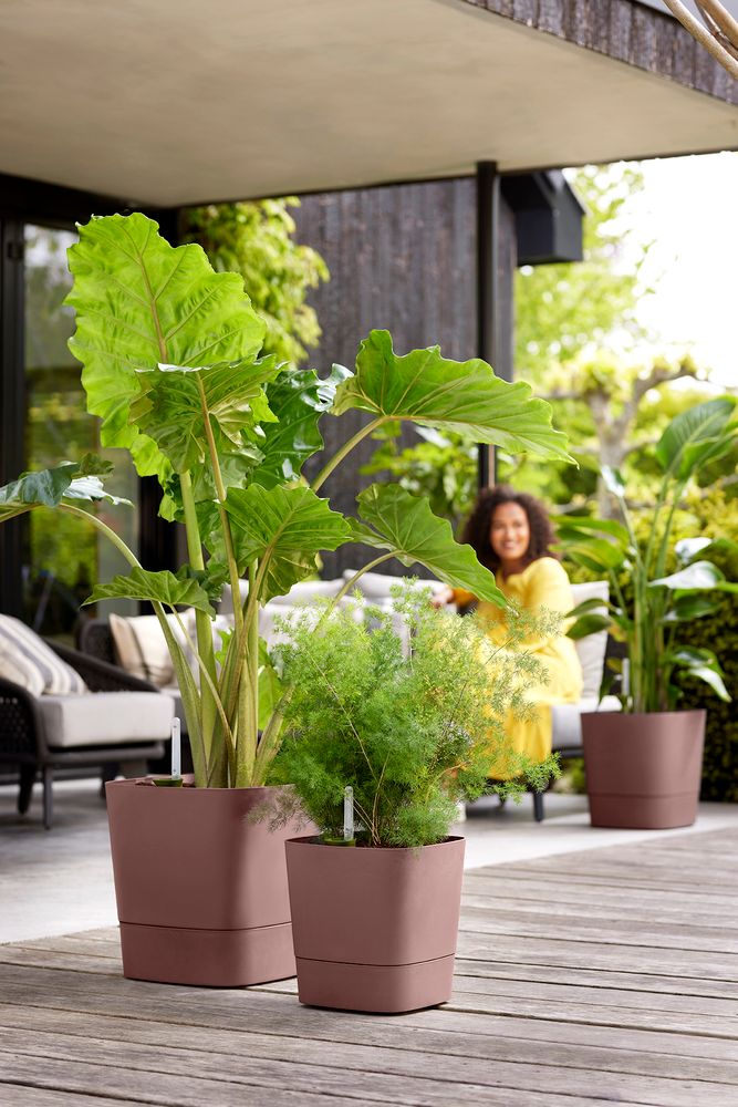 Greensense Aqua Care Quadrat 30