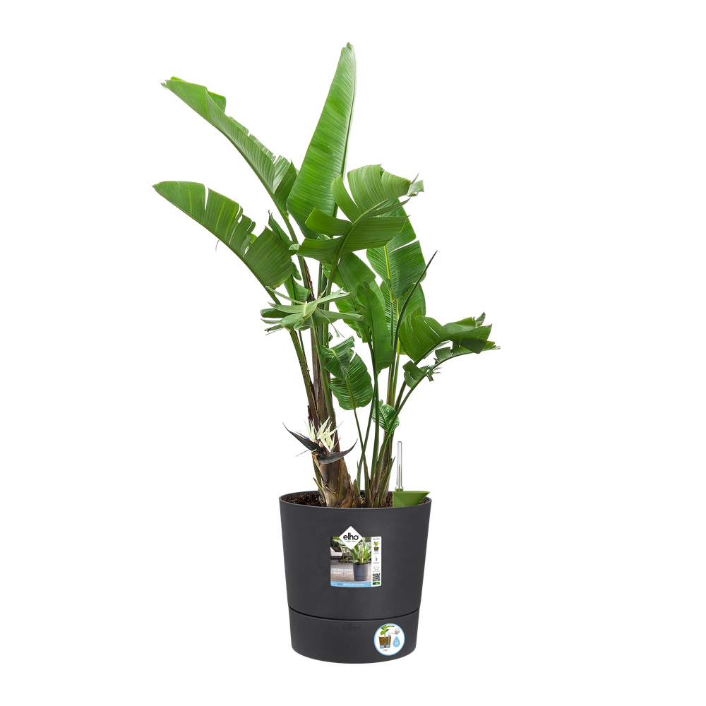 Greensense Aqua Care Rund 30