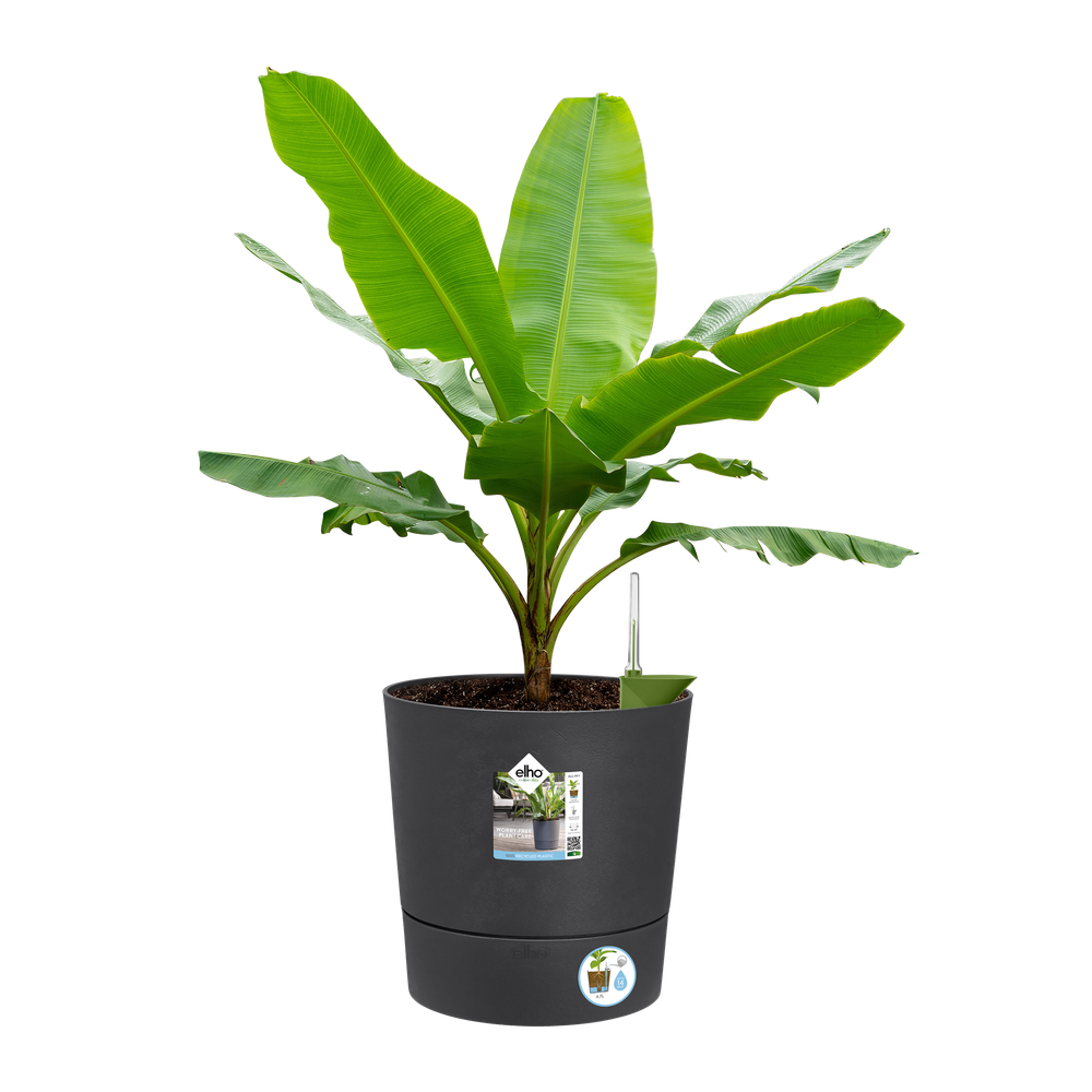 Greensense Aqua Care Rund 35