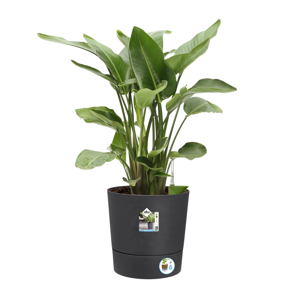 Greensense Aqua Care Rund 43