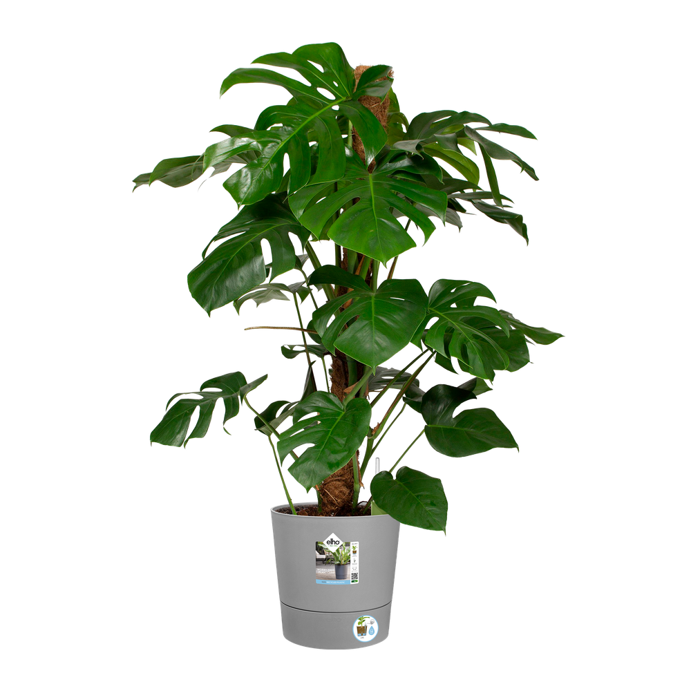 Greensense Aqua Care Rund 30