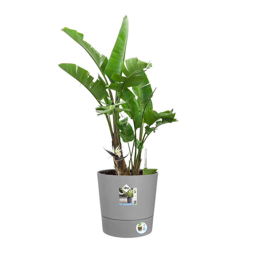 Greensense Aqua Care Rund 35