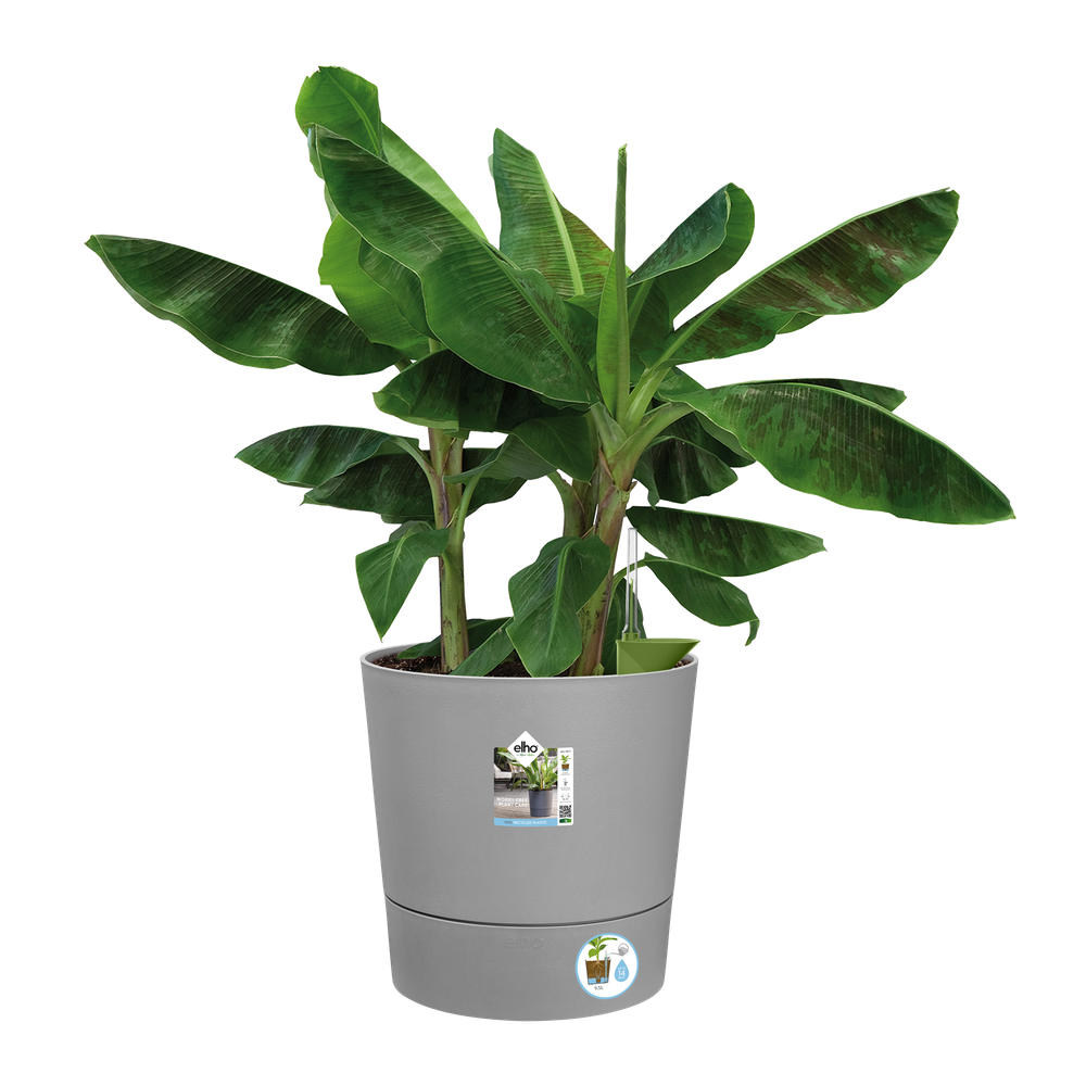 Greensense Aqua Care Rund 43