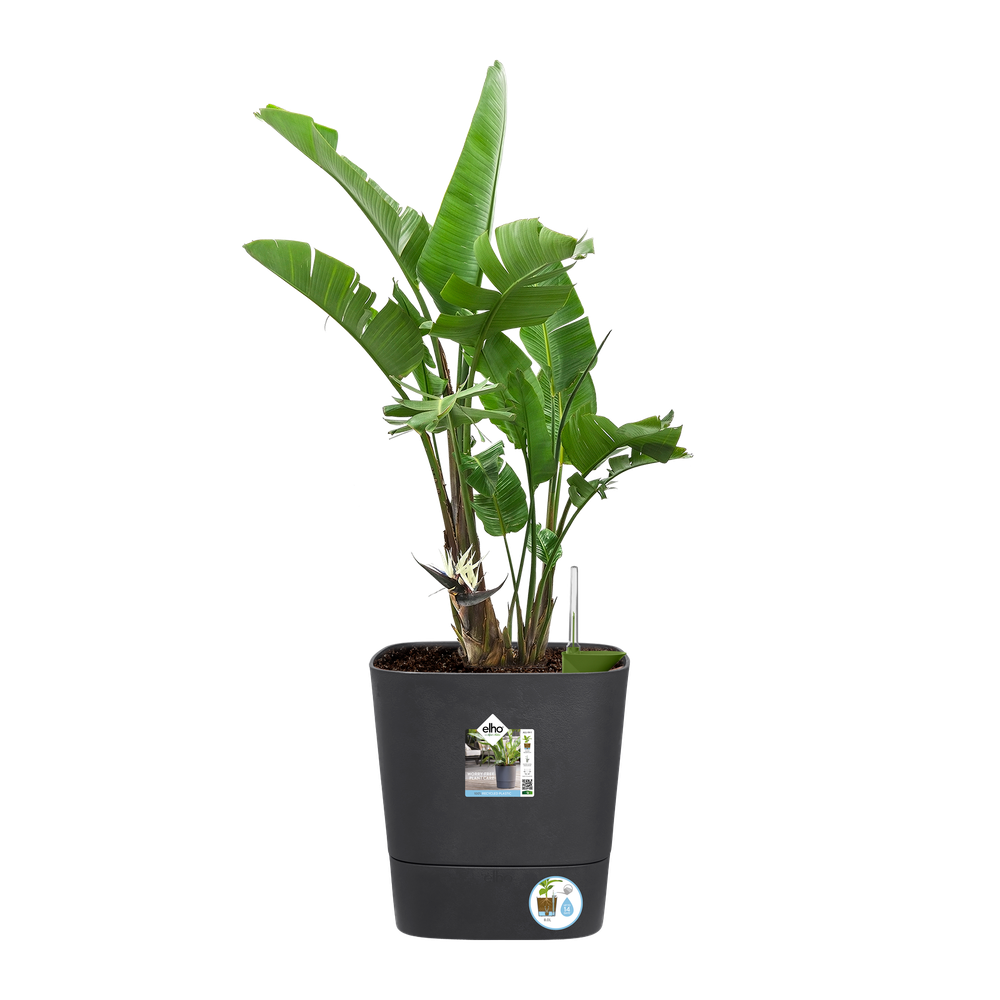 Greensense Aqua Care Quadrat 38