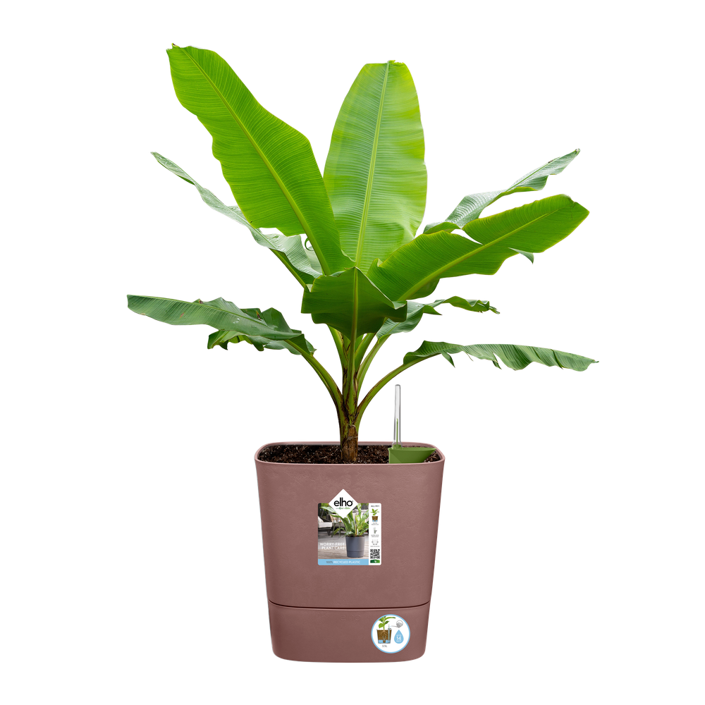 Greensense Aqua Care Quadrat 30