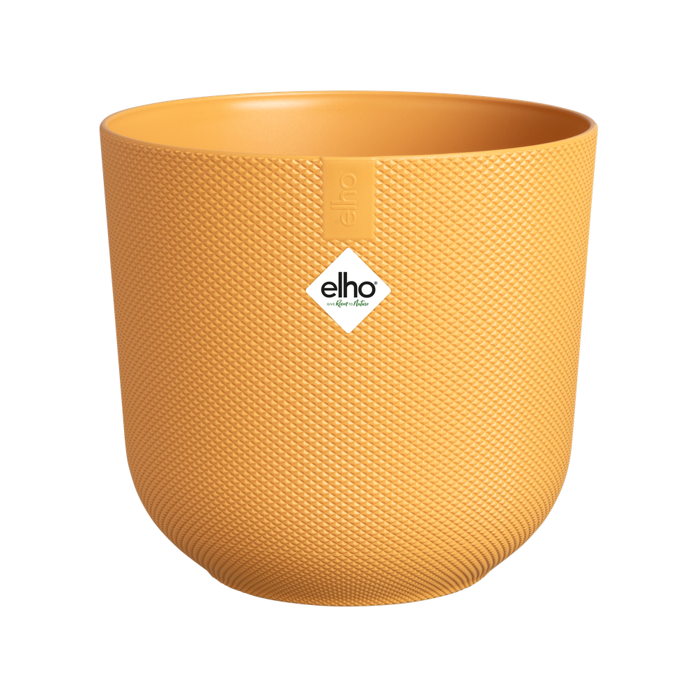 Jazz Rund 35