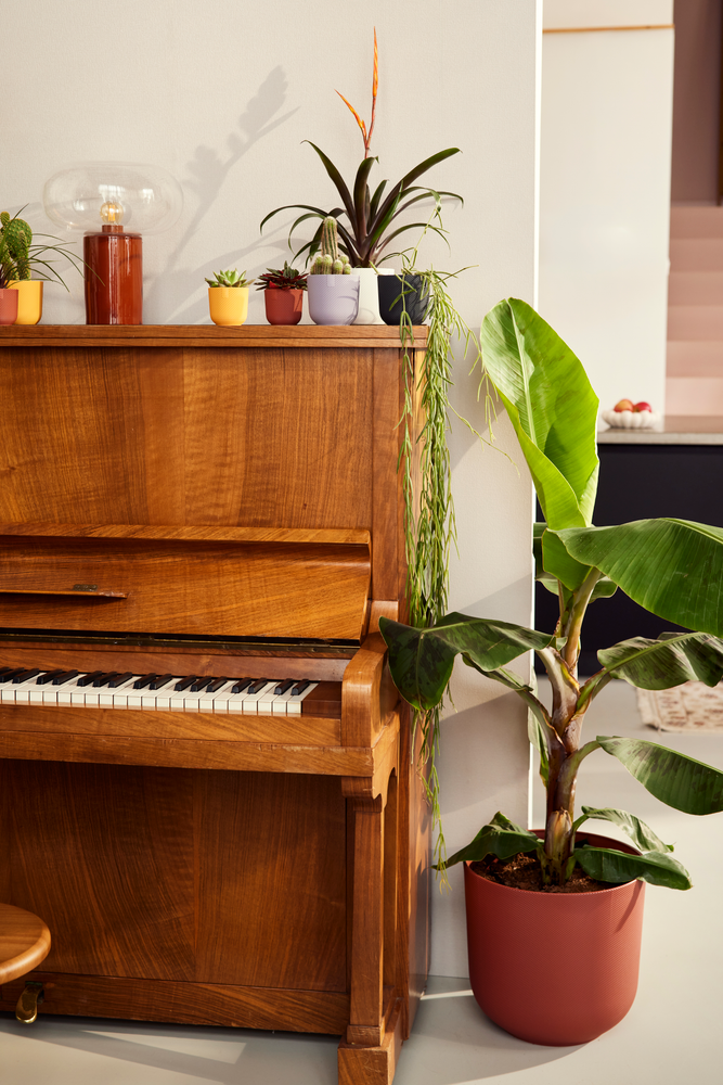 Jazz Rund Mini 11
