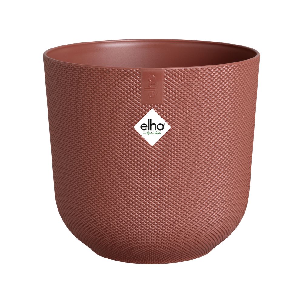 Jazz Rund 35