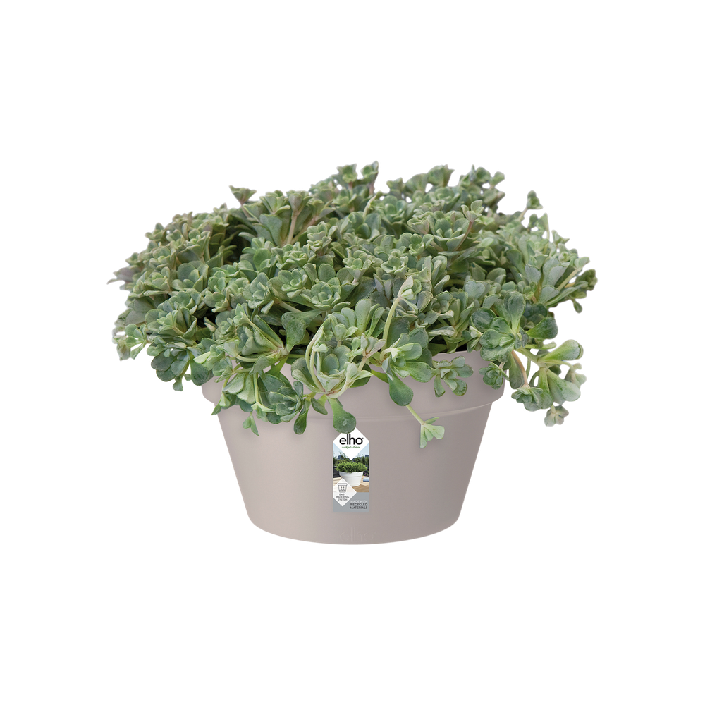 Loft Urban Schale 35