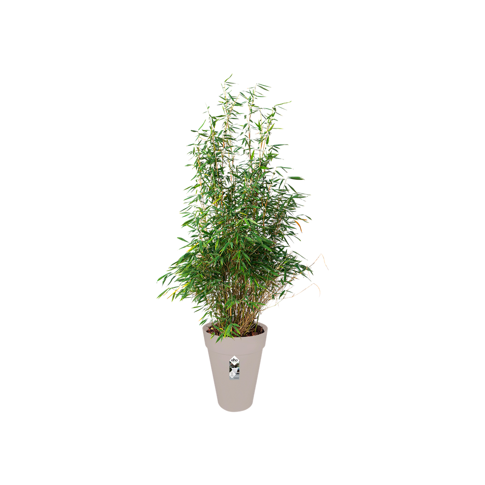 Loft Urban Rund Hoch 42