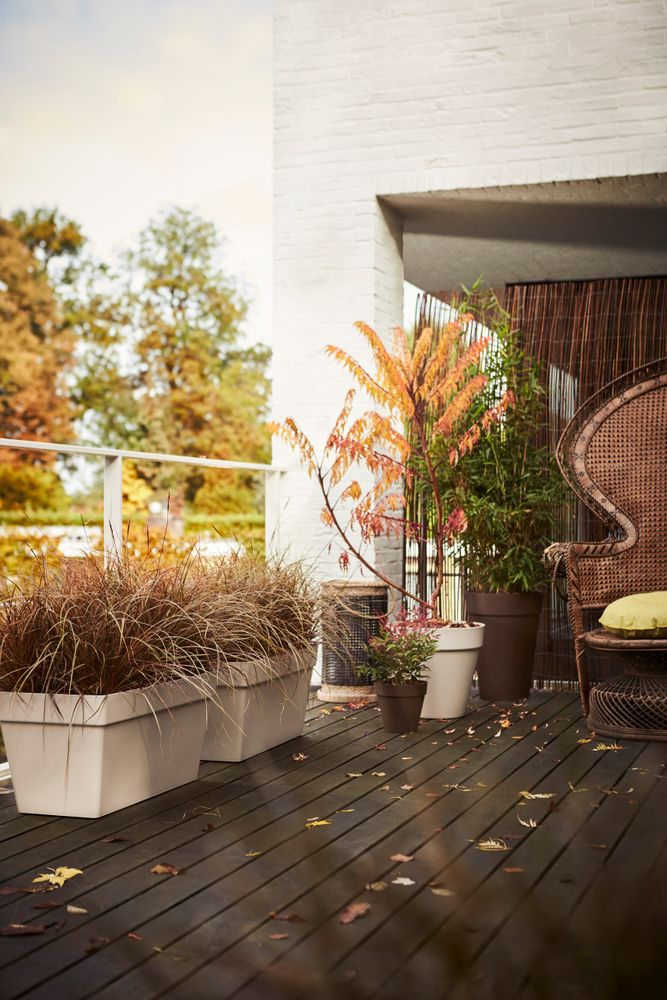 Loft Urban Terrace Rollen 70