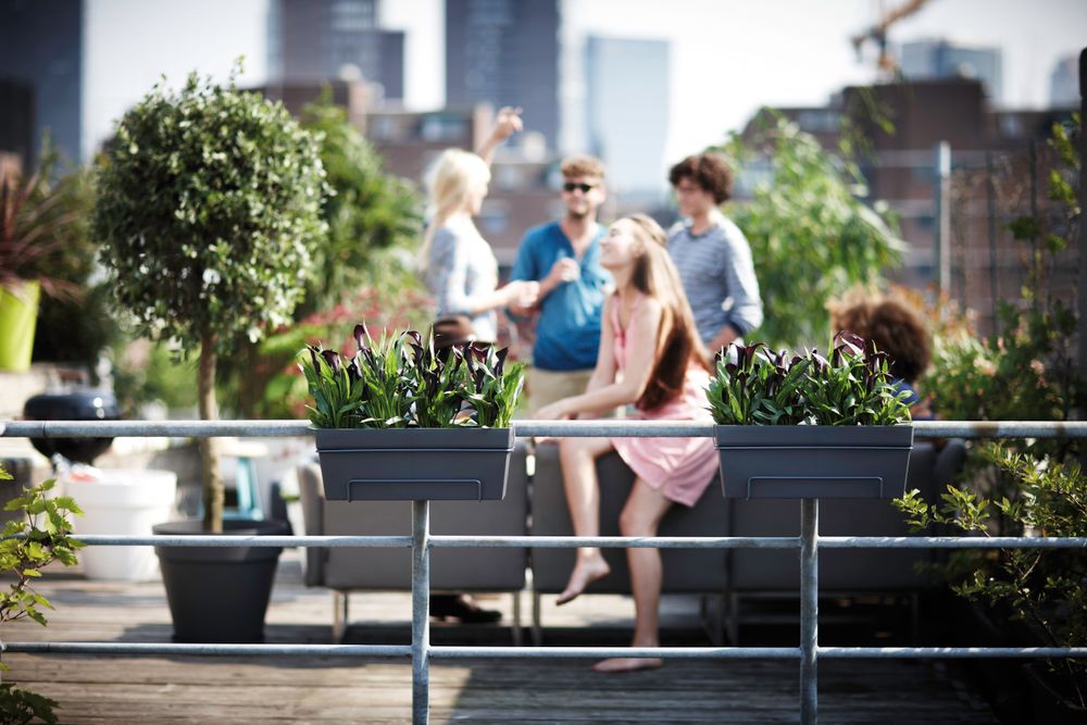 Loft Urban Balkonkasten Allin1 50