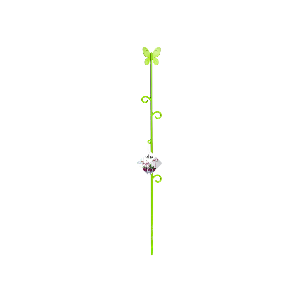 Orchideco Schmetterling 53