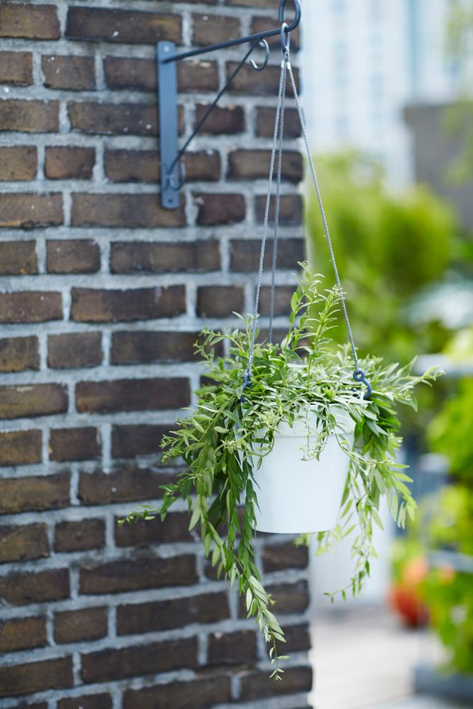 Loft Urban Hängeampel 20