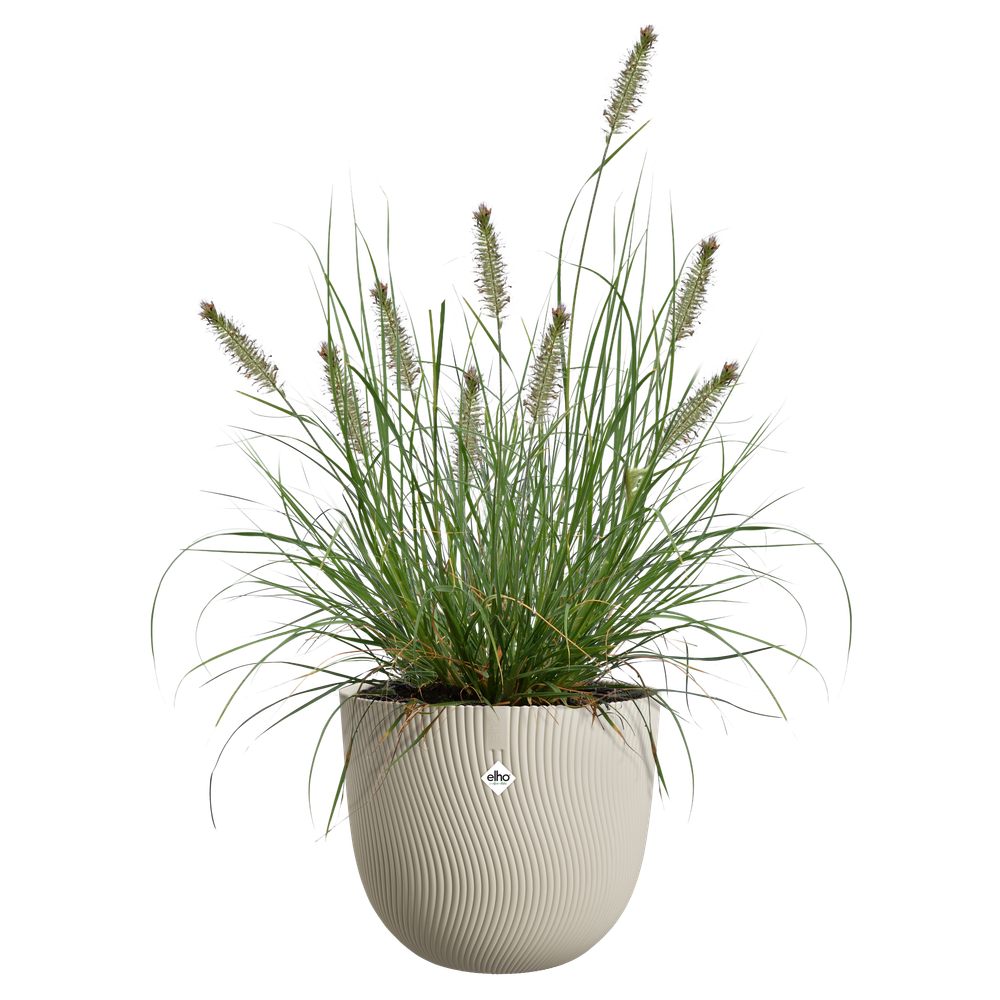 Sereh Rund 30