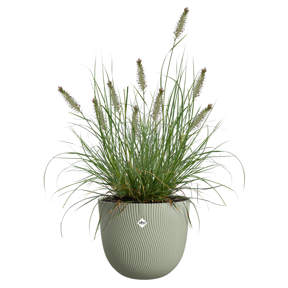 Sereh Rund 30
