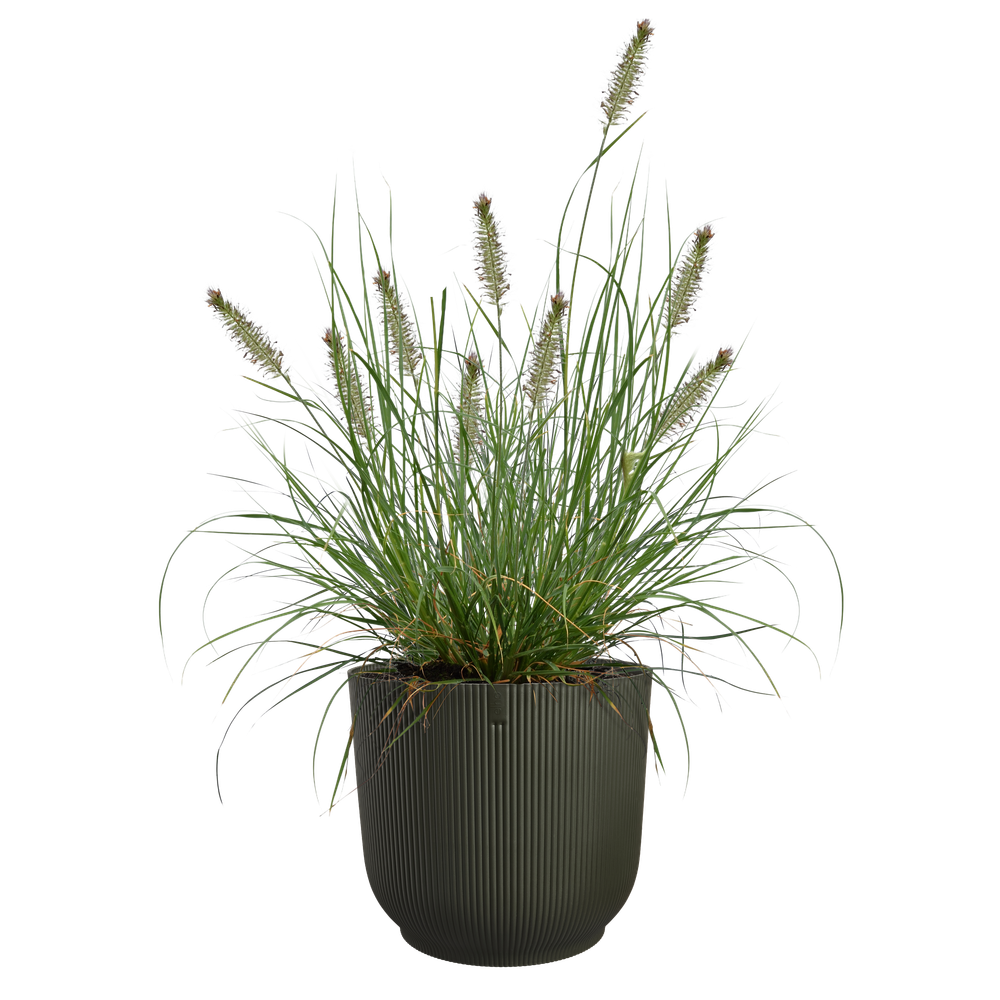 The Grass Collection Rund 40