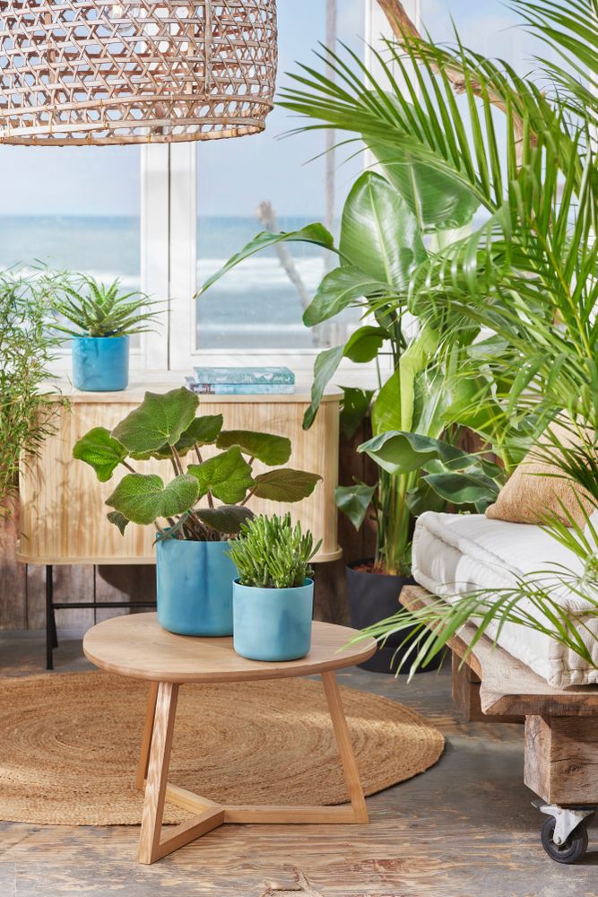 The Ocean Collection Rund 14