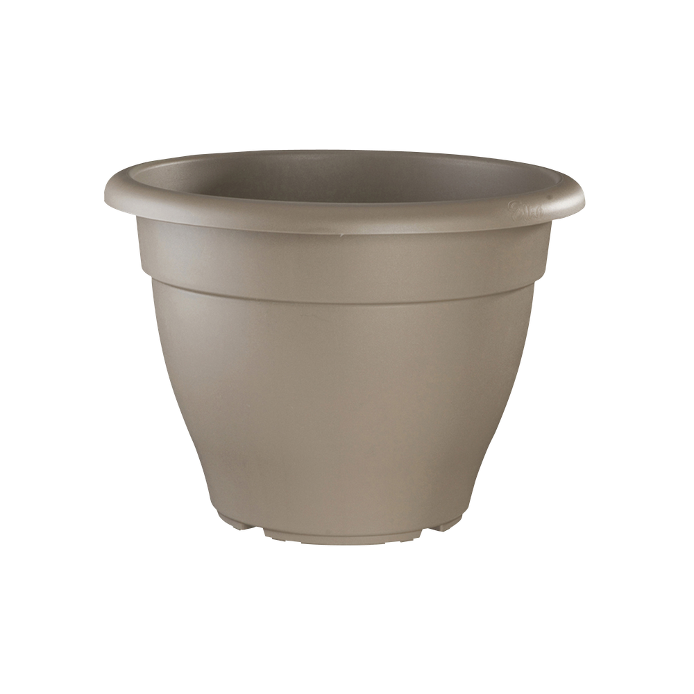 Torino Campana 35