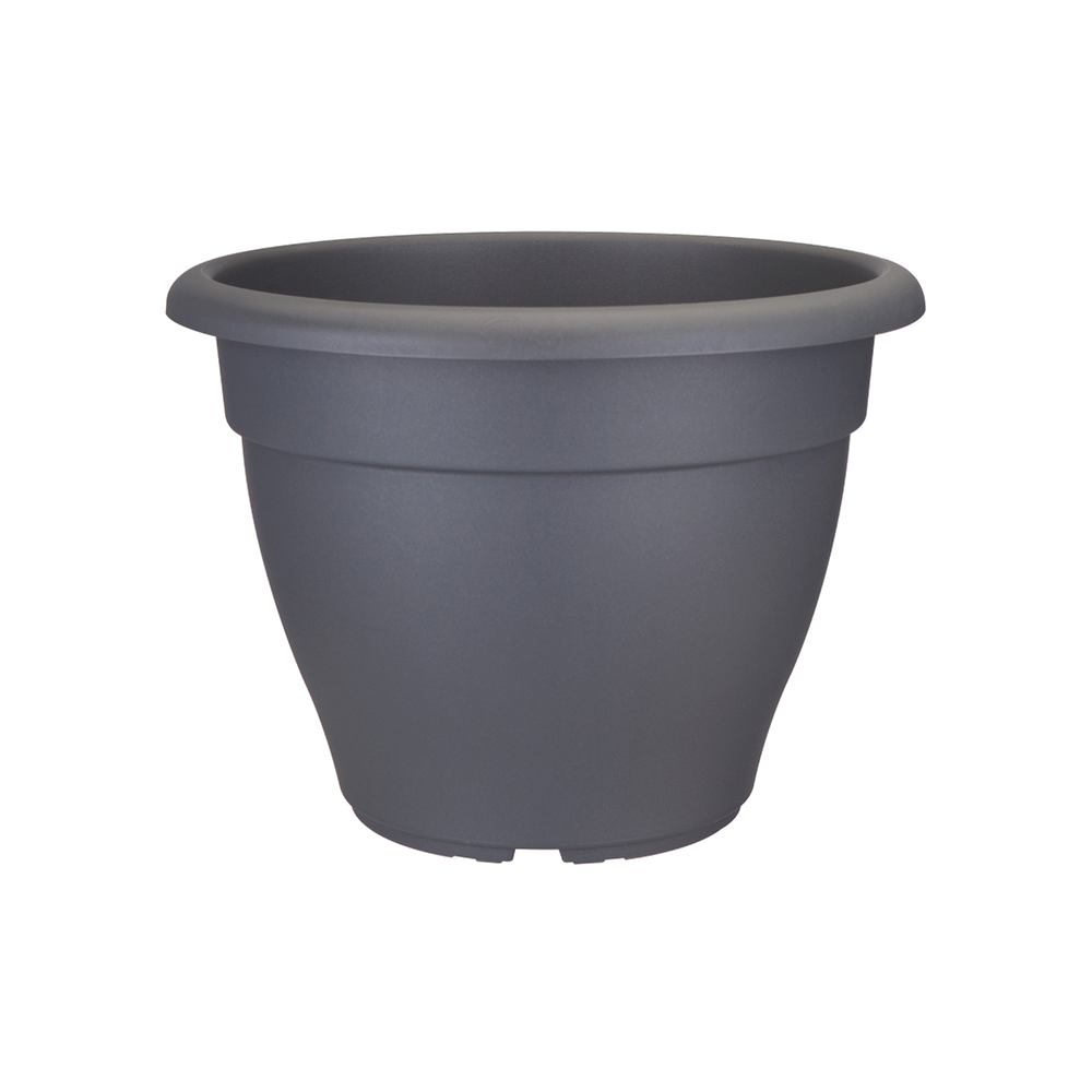 Torino Campana 35