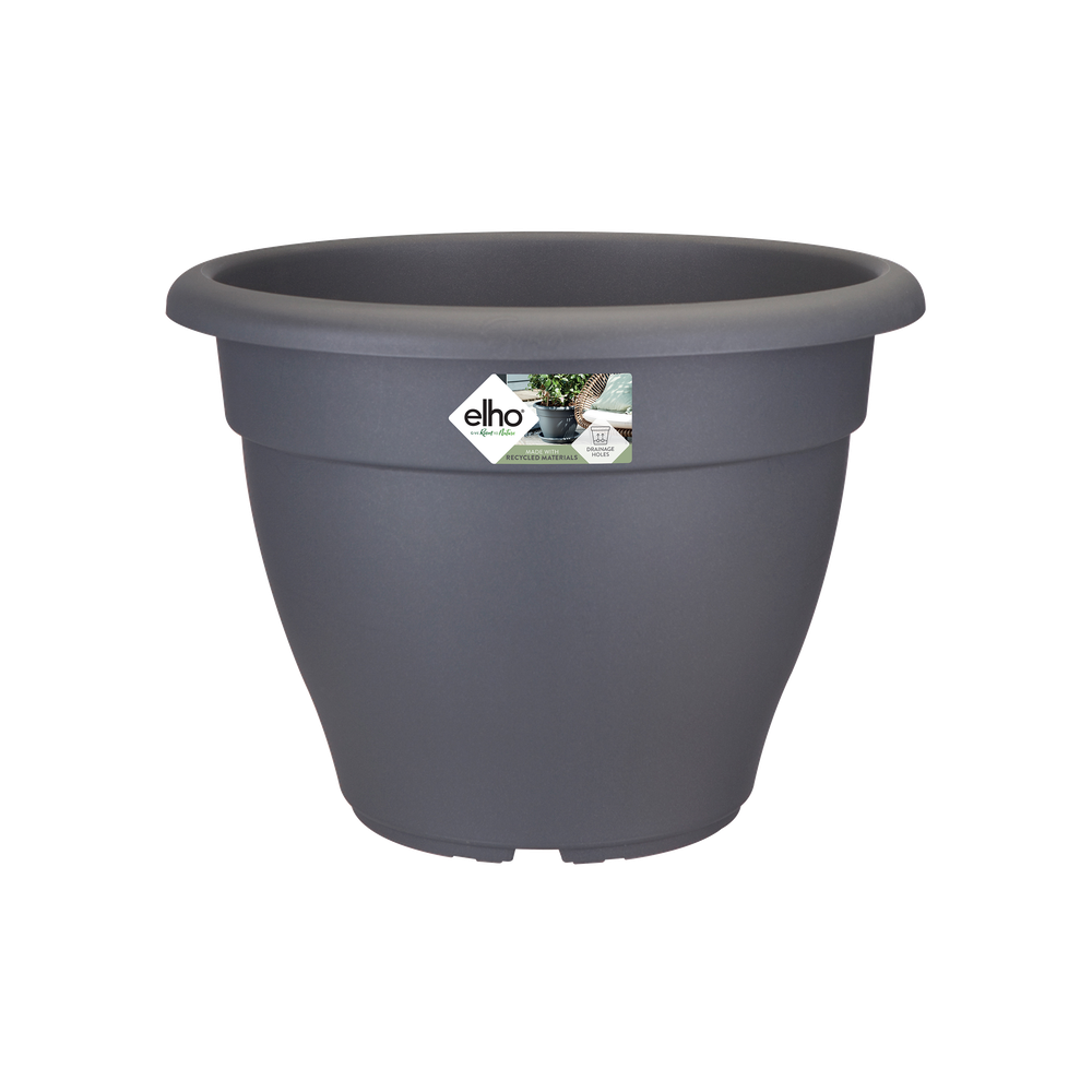 Torino Campana 35