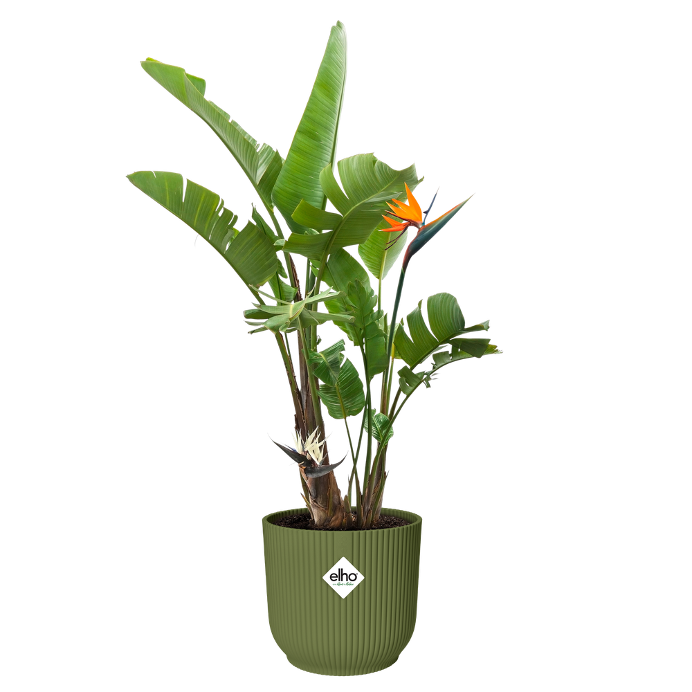 Vibes Fold Rund 35