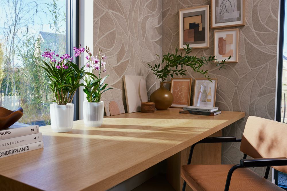 Vibes Fold Orchidee Hoch 12,5