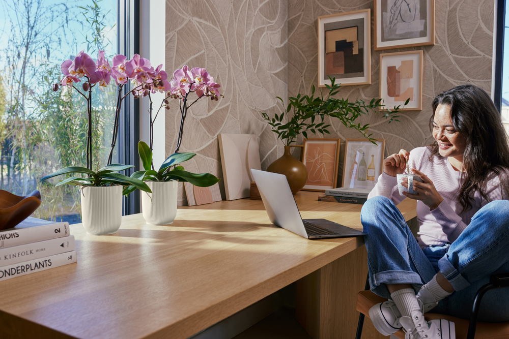 Vibes Fold Orchidee Hoch 12,5