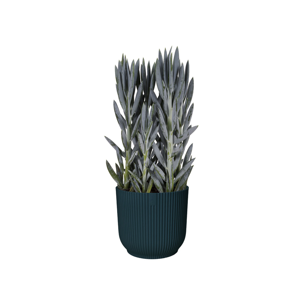 Vibes Fold Rund 25