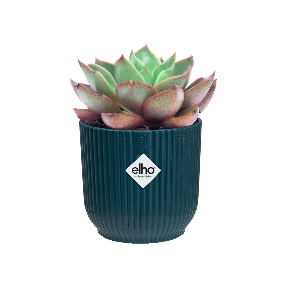 Vibes Fold Rund Mini 7
