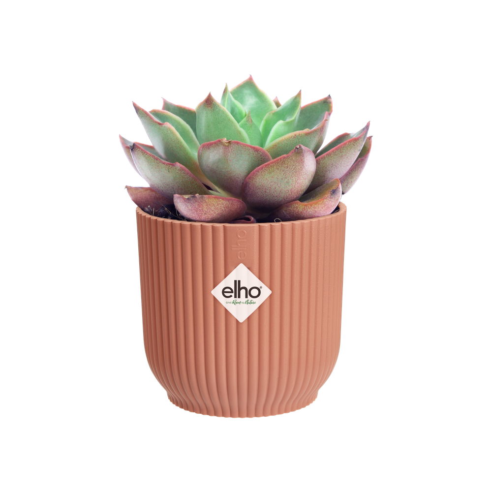 Vibes Fold Rund Mini 9
