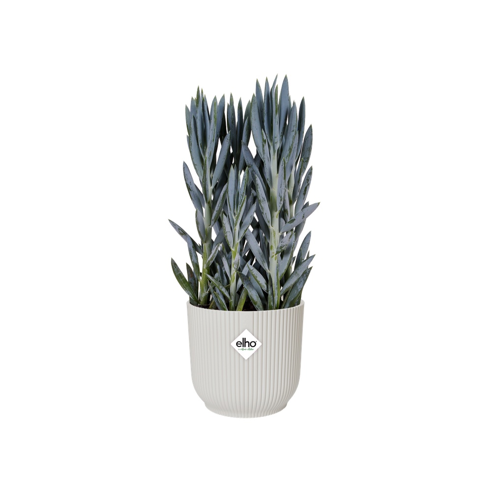Vibes Fold Rund Rollen 35
