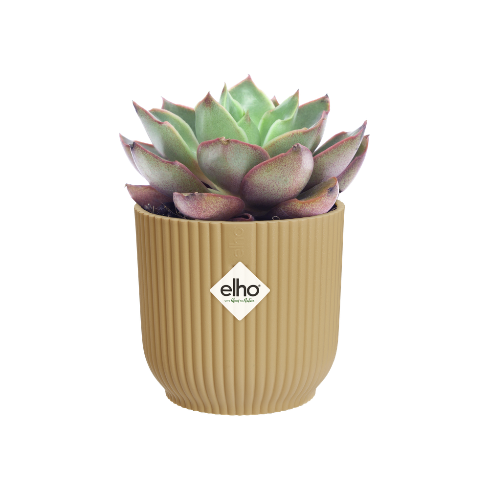 Vibes Fold Rund Mini 9
