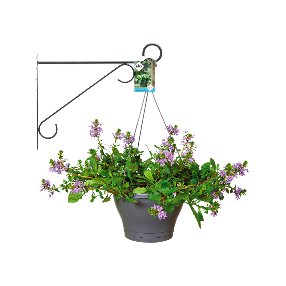 Wandhaken Eleganz 30