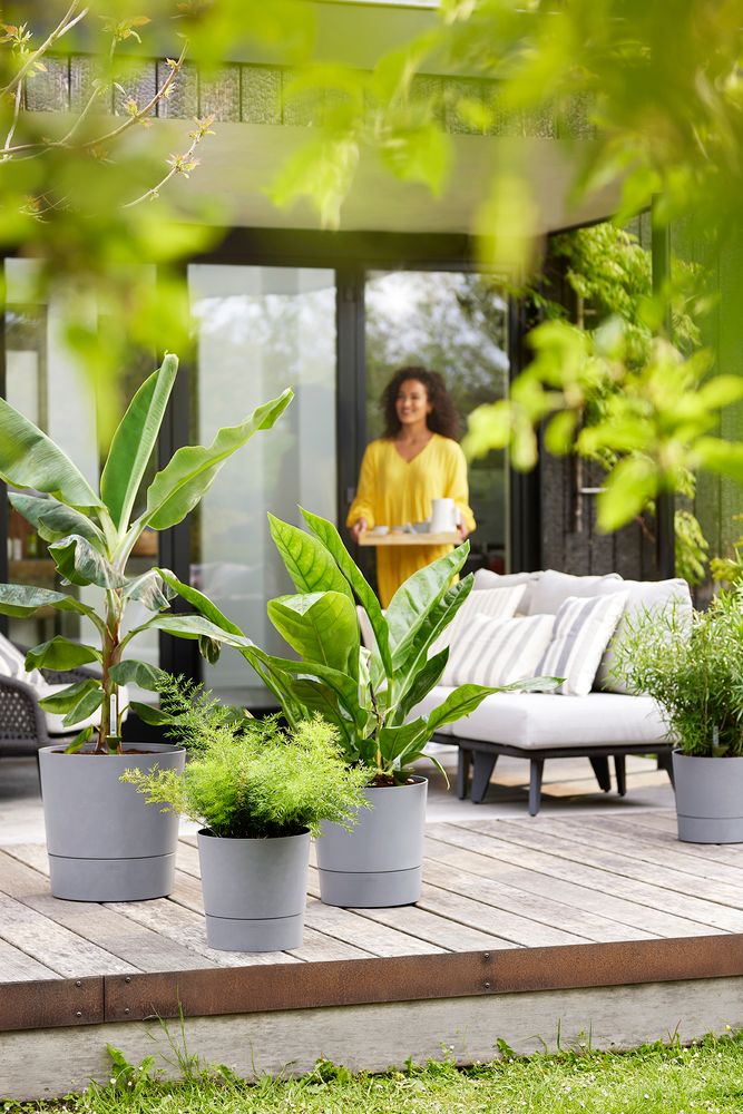 Greensense Aqua Care Rund 35