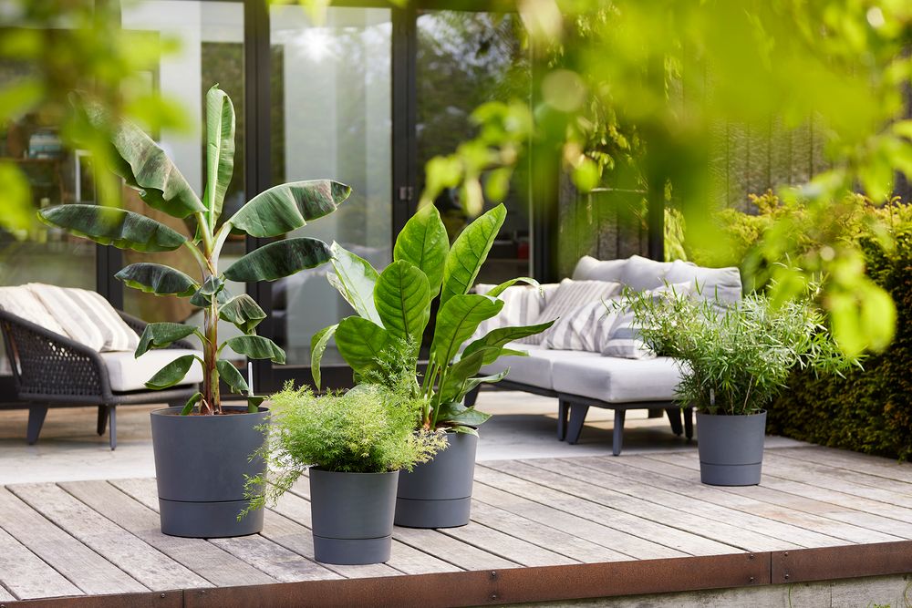 Greensense Aqua Care Rund 30
