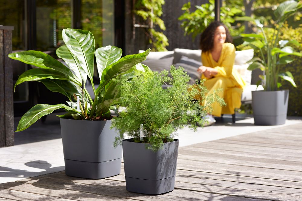 Greensense Aqua Care Quadrat 30