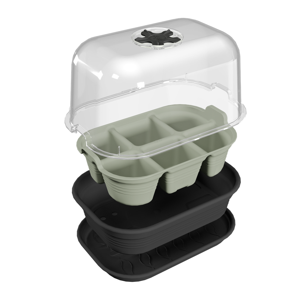 Green Basics Saatschale 22