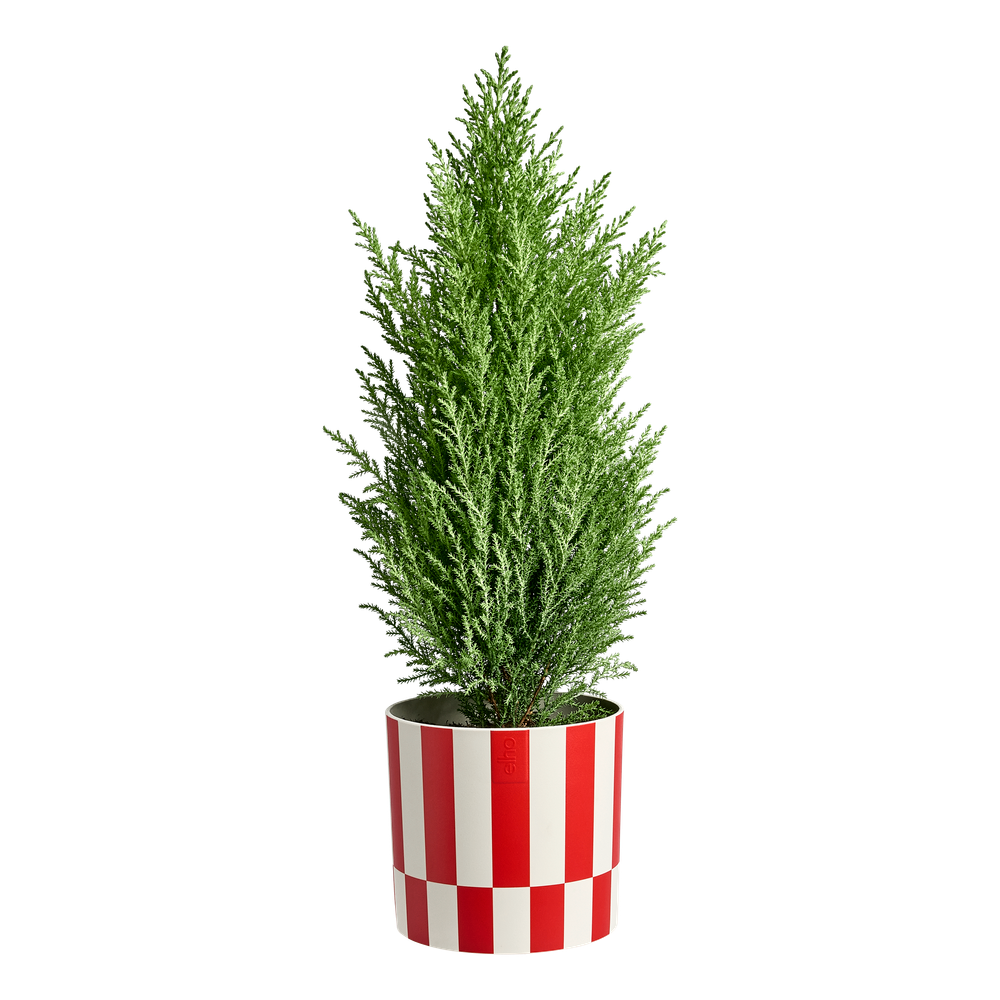 Xmas Blocks & Stripes 15