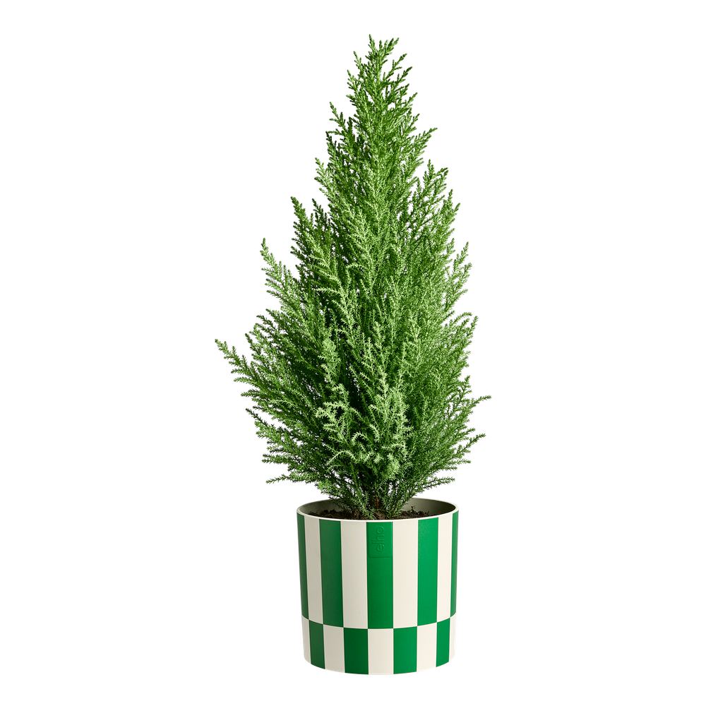 Xmas Blocks & Stripes 15
